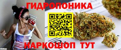 трава Аша