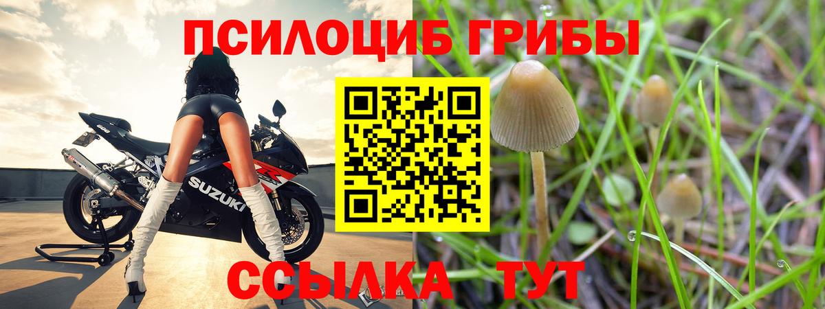 Аша  Псилоцибиновые грибы Magic Shrooms  цены наркотик  Вход с VPN 